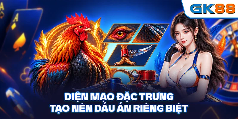 Diện mạo đặc trưng tạo nên dấu ấn riêng biệt