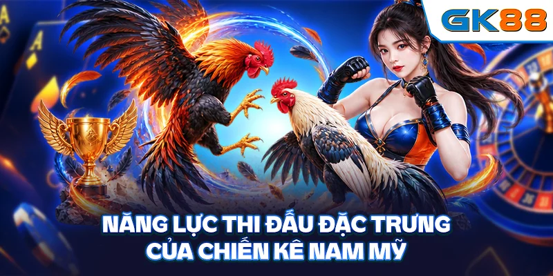Năng lực thi đấu đặc trưng của chiến kê Nam Mỹ