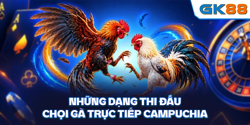 Những dạng thi đấu chọi gà trực tiếp Campuchia
